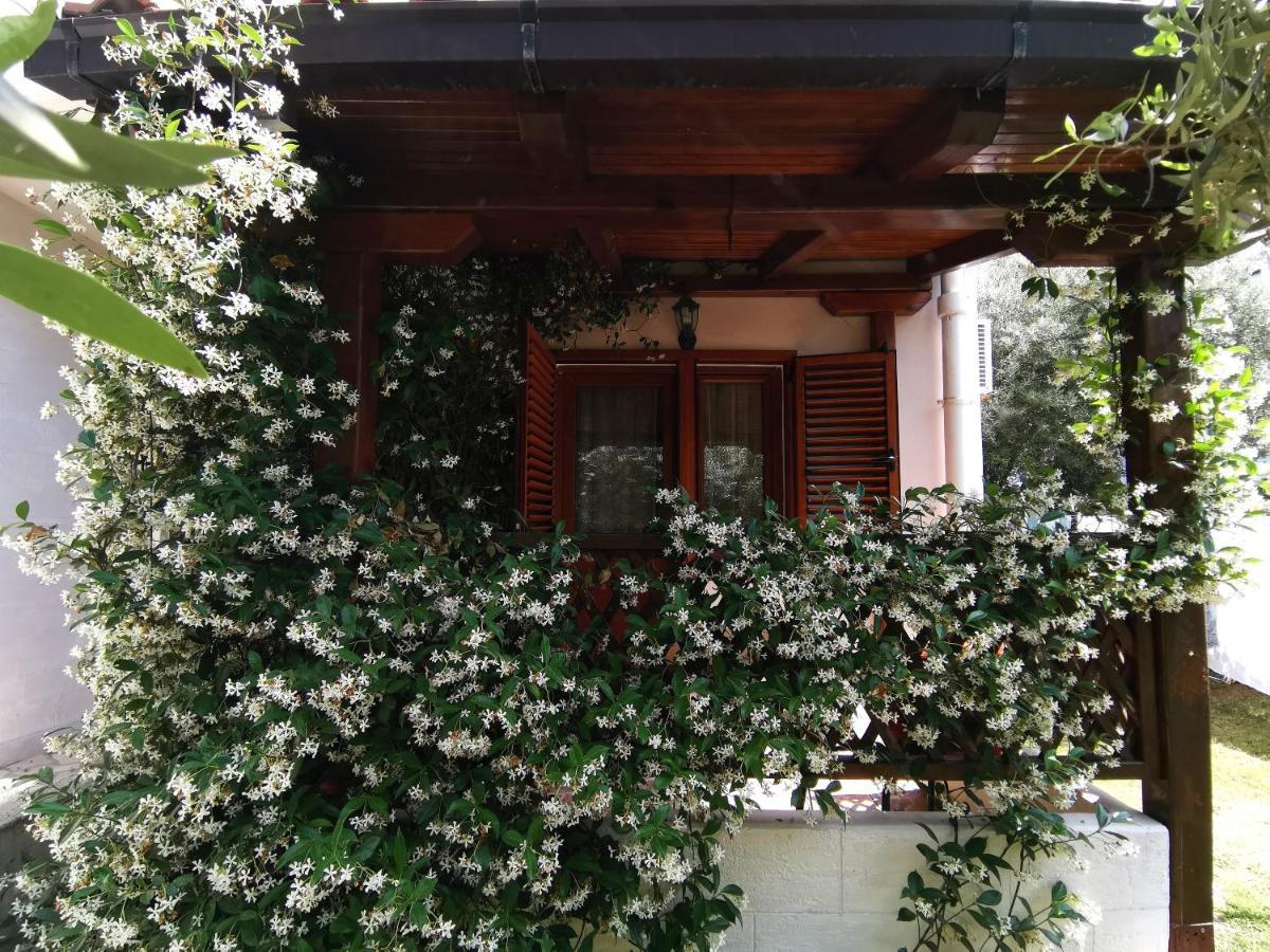 Apartments Maris Garden Petrovac Extérieur photo