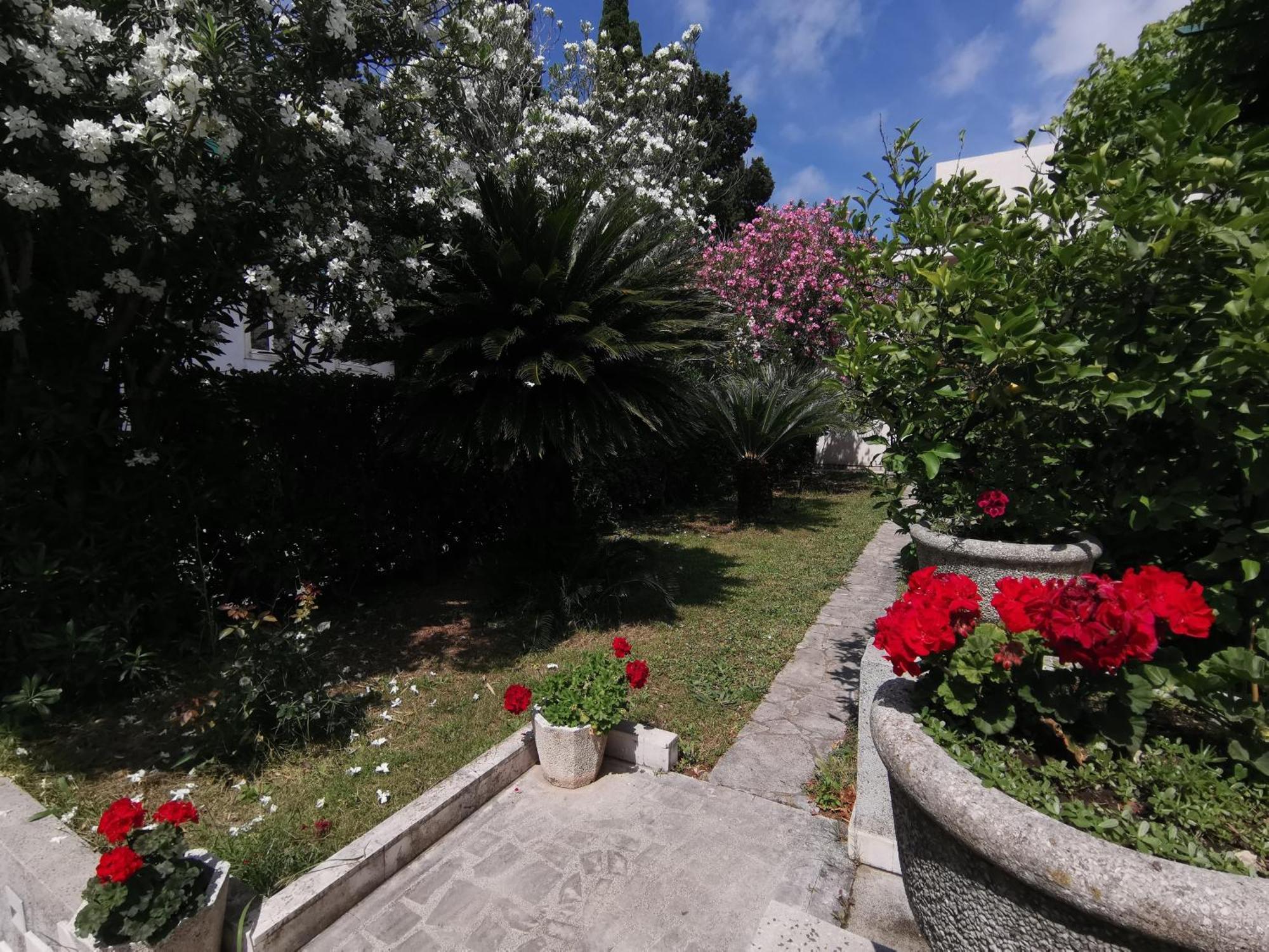 Apartments Maris Garden Petrovac Extérieur photo