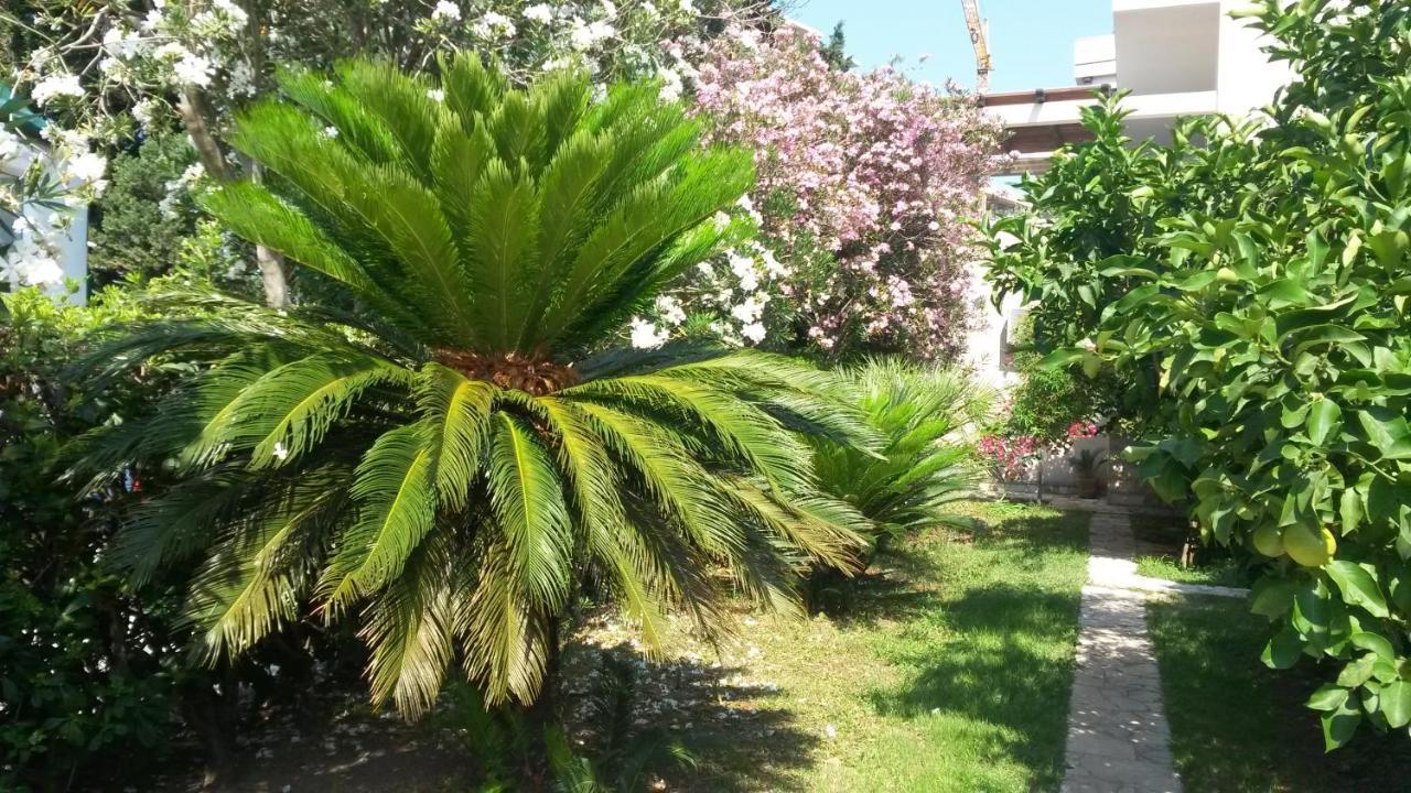 Apartments Maris Garden Petrovac Extérieur photo
